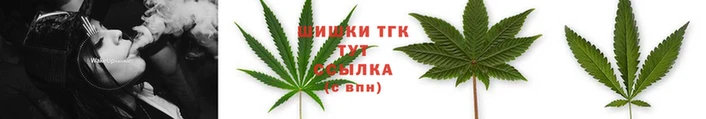 прущий лед Киренск