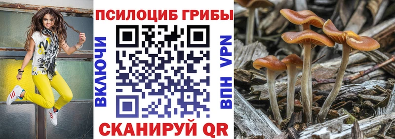 Псилоцибиновые грибы мицелий  как найти закладки  Долгопрудный 