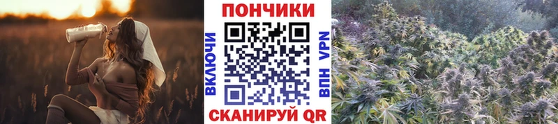 где продают наркотики  Долгопрудный  Шишки марихуана OG Kush 